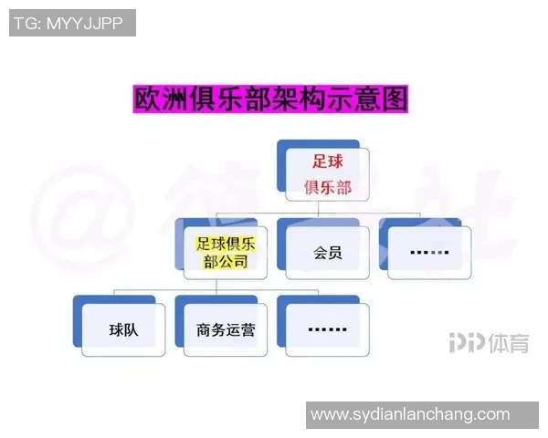 深圳足球队实力对比深度解析与未来发展趋势探讨